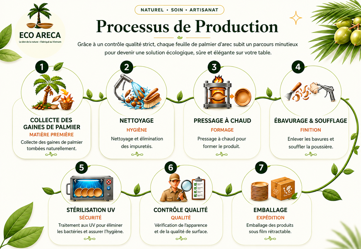 Eco Areca production process