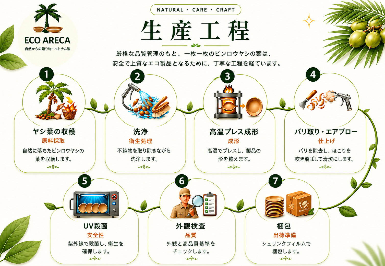 Eco Areca production process